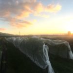 Sunset at Stonecrop - Last days of Harvest 2017