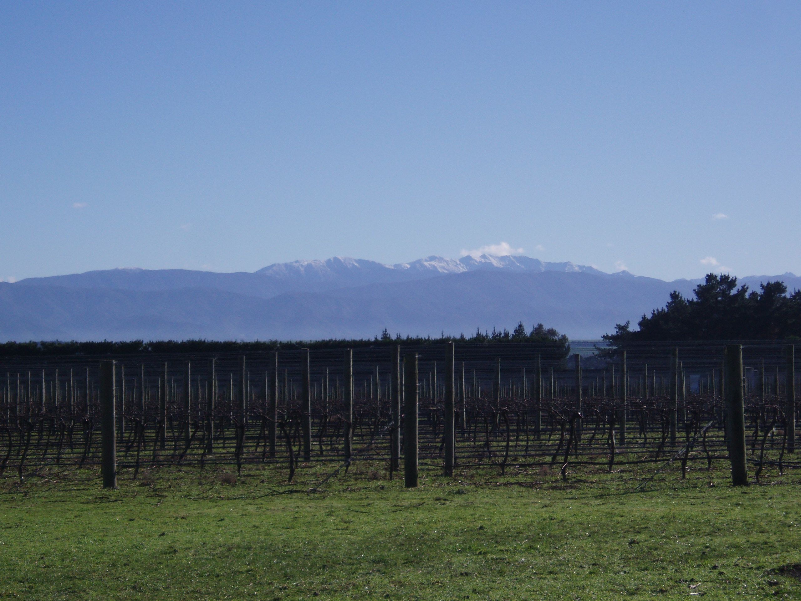 Winter at Stonecrop Vineyard